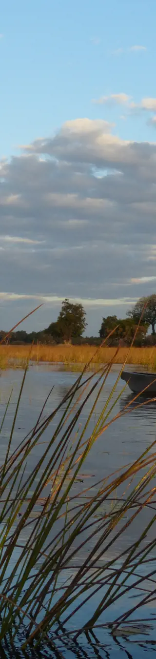 Fahre im Mokoro im Okavango Delta
